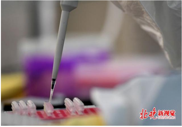 美国一赌场暴发诺如病毒感染,传染性强,至少200人患病