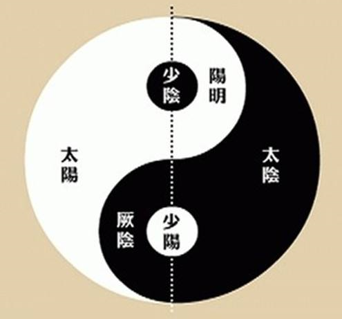 工具：六经三阴三阳十二经络模型 