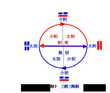 工具：六经三阴三阳十二经络模型 